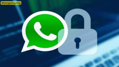 logicalshout updates whatsap