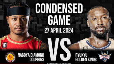 nagoya diamond dolphins