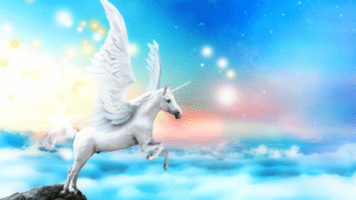 unicorn finder