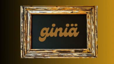Giniä